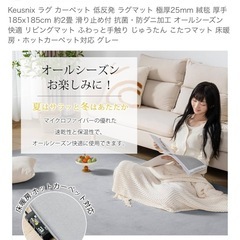【受取確定済】ラグ カーペット185x185cm 滑止 厚手　約2畳　 の画像