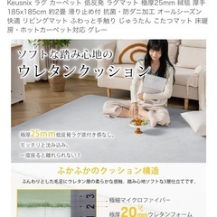 【受取確定済】ラグ カーペット185x185cm 滑止 厚手　約2畳　 の画像