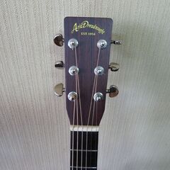 アリア・ドレッドノート AD28BS エレアコ仕様の画像