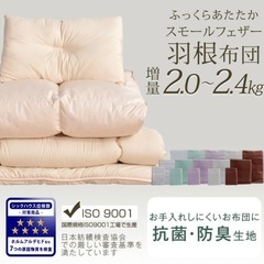 【お取引中】シングル羽毛布団セット　カバー付き！！　の画像