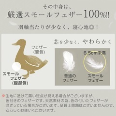 【お取引中】シングル羽毛布団セット　カバー付き！！　の画像
