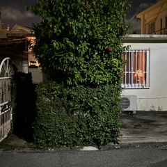 住宅街にひっそり一軒家『Cafe&Bar和小屋』