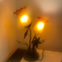 チューリップランプの画像