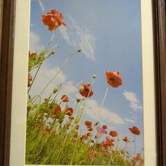 A4フォトフレームの画像