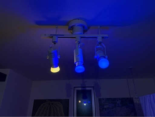 Philips HUE 照明  フルカラーライト