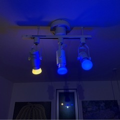Philips HUE 照明  フルカラーライトの画像