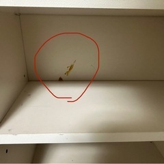 鏡付き棚の画像