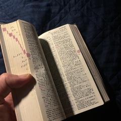 辞書　スペイン語ー日本語の画像