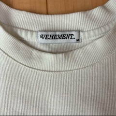 しまむら　チュール付きTシャツの画像