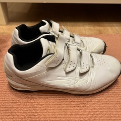 ティゴラ　トレーニングシューズ　28.5センチの画像