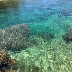 海遊び - 友達