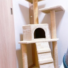 クリーム色 3段式 キャットタワー の画像
