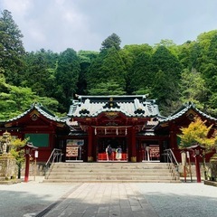 神社巡り友達募集⛩️✨