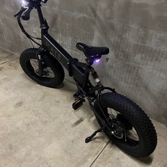 MATE X 250 大人気シリーズ電動自転車 日本未販売モデルの画像