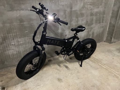 MATE X 250 大人気シリーズ電動自転車 日本未販売モデル (A