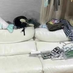 sofa