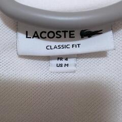 ラコステ　正規品　美品　定番1212 　ラコステジャパン　ファブリカの画像
