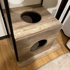 キャットタワー【0円】の画像