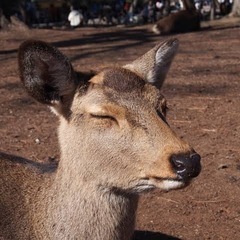 お友達できたらいいなぁ