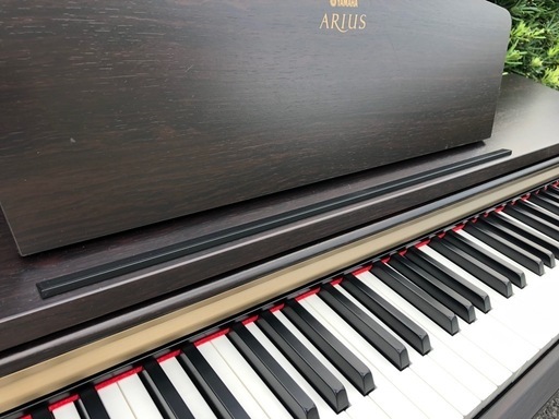ヤマハ アリウス  YDP-161R