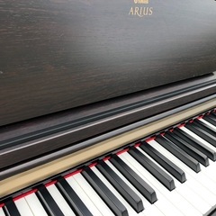 ヤマハ アリウス  YDP-161Rの画像