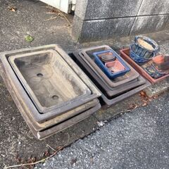 盆栽鉢の画像