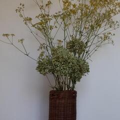民芸品 アケビづる花生けかごの画像