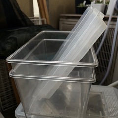 昆虫飼育引退、プラケ等の画像