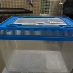 昆虫飼育引退、プラケ等の画像