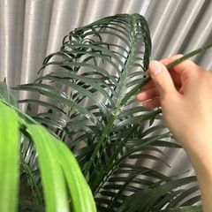 光触媒　人工観葉植物　光の楽園 アレカパーム　1.5m の画像