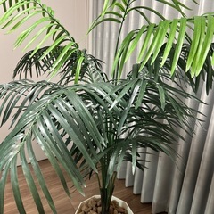 光触媒　人工観葉植物　光の楽園 アレカパーム　1.5m の画像
