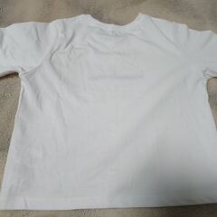 ♠　AQUANISTORY　MIRANDA DE DUBERO　白 Tシャツ　サイズM　バスト７９～８７　身長１５４～１６２　　レディースの画像
