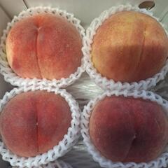 五種類の桃の画像