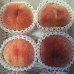 三種類の桃の画像