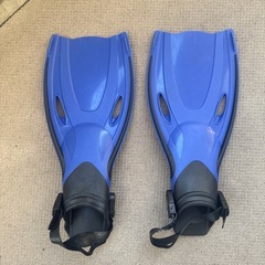 フィン
の画像