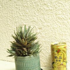 十二の巻の画像