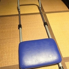 IRONMAN CLUB(鉄人倶楽部)ボディ トレーニング IMC-99 家庭用 ブルーの画像