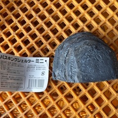 爬虫類　バスキングシェルター　未使用　の画像