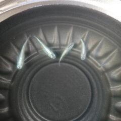 8/3めだか販売。の画像