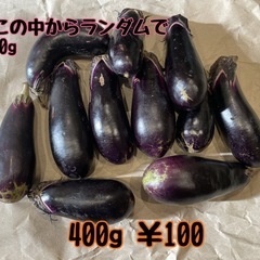 8月3日収穫 夏野菜 なす