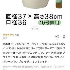 鉢・鉢カバーの画像