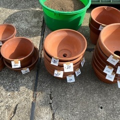 園芸用土、植木鉢、プランター等　猛暑価格の画像
