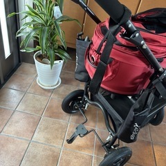 【美品】AIRBUGGY ドームラージサイズ ペットカート　の画像