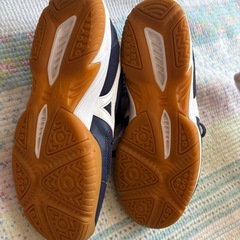 室内シューズ　27.5の画像