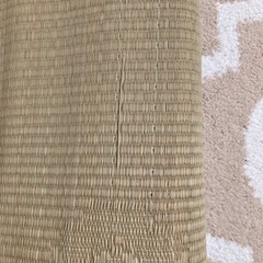 い草ござ　約3畳(約262cm x 174cm) の画像