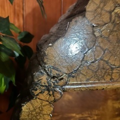 飾り棚の画像