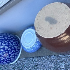 値下げしました　睡蓮鉢♪３個　お庭にベランダや玄関前などなどの画像
