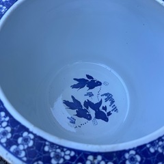 値下げしました　睡蓮鉢♪３個　お庭にベランダや玄関前などなどの画像