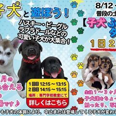 【完売】ねこハウス🐶😻🐶😻の画像