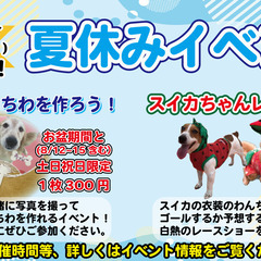【完売】ねこハウス🐶😻🐶😻の画像
